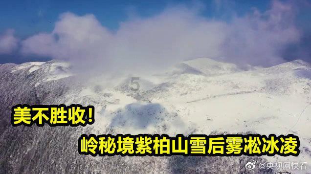 苏菲亚的休闲装