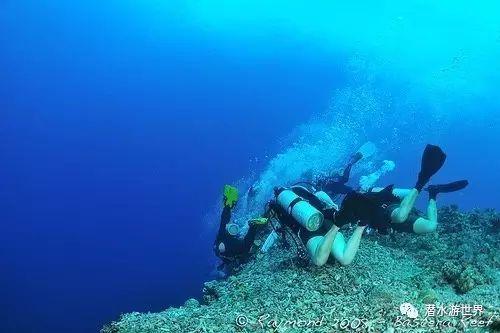 虫虫助手下载