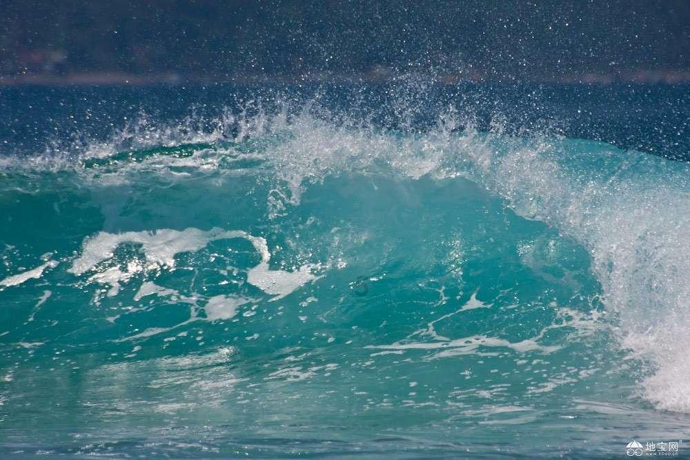 春雨直播app