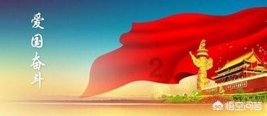 救援狗与猫