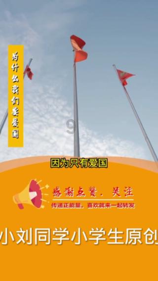 探秘猫有几条命呢?蜗牛问答,解答你的疑问