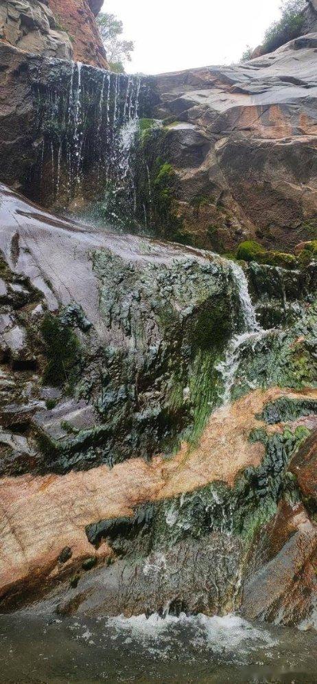 资金疯迷美股QDII,标普生物科技ETF(159502)近6天连续“吸金”1.42亿元