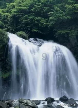 坚持党建引领 凝聚医院发展澎湃力量
