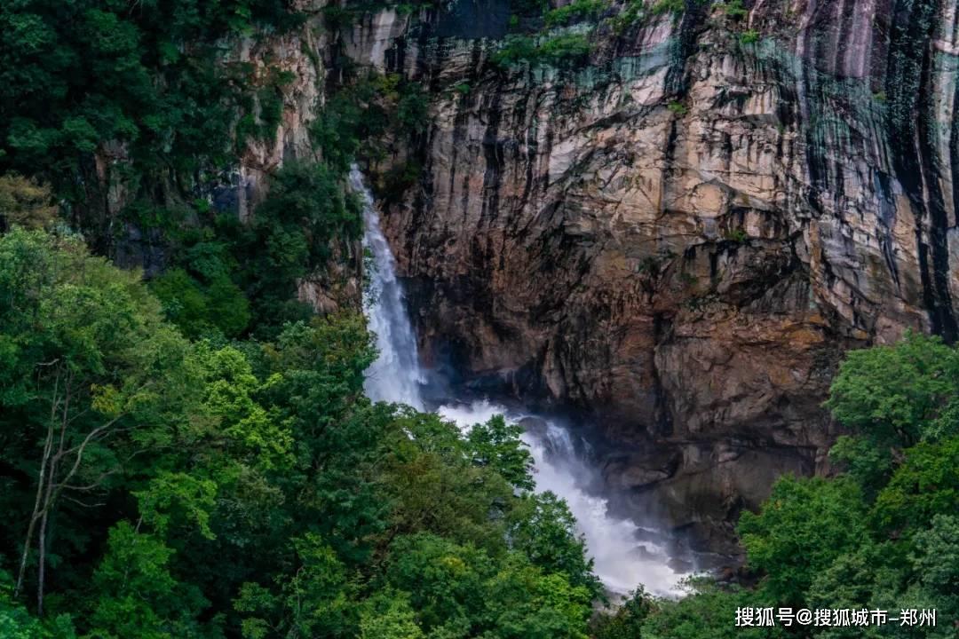 逗小猴开心系列182