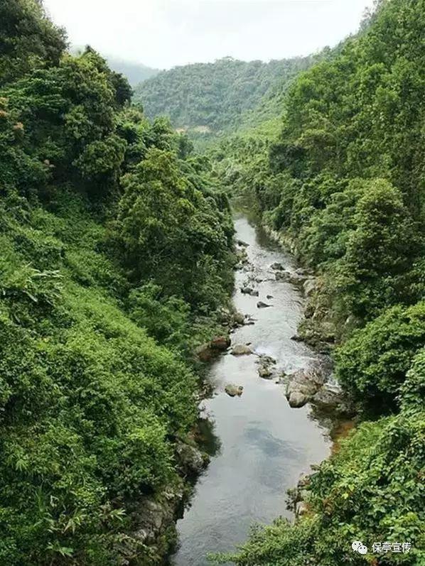 人社业务“就近办” “沉”到基层暖民心