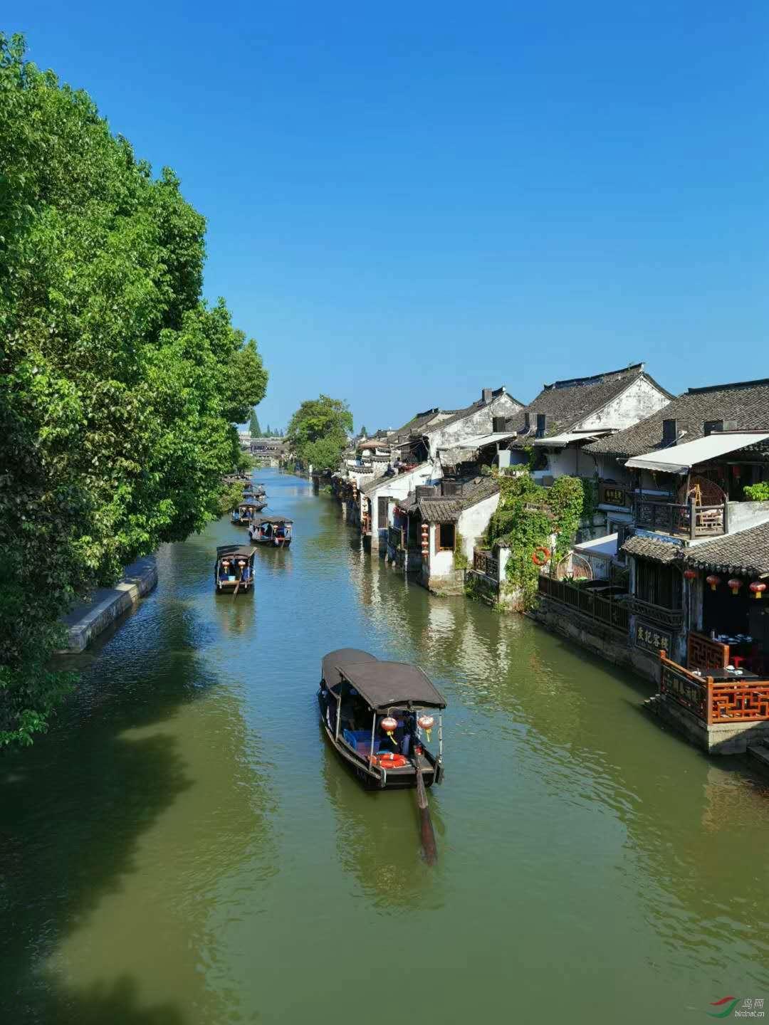 荆棘王座