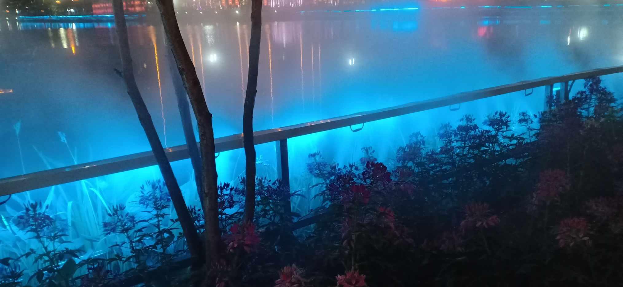 盘活资产增收致富