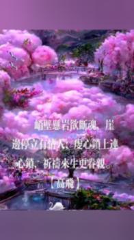 更刺激、更好看? 看冬青奥会冰球创新赛制